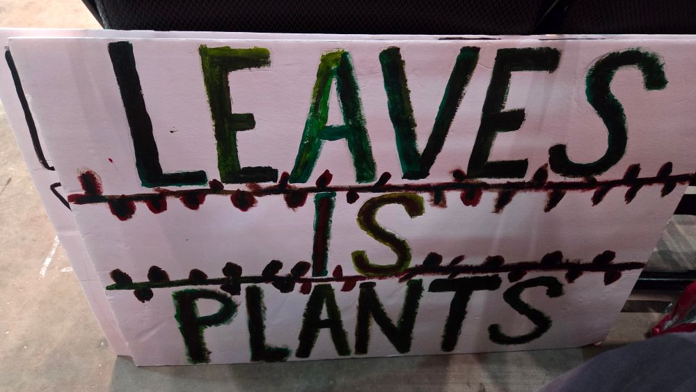 Picture of my leaves is plants sign 