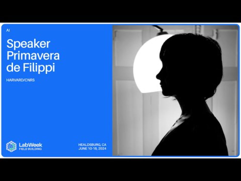 AI Coordination Monster Workshop | Primavera de Filippi