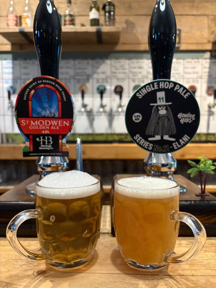 St Modwen Golden ale in a half glass on the left - very trad looking in comparison to the very juicy looking Elani single hop pale ale in the glass next to it.