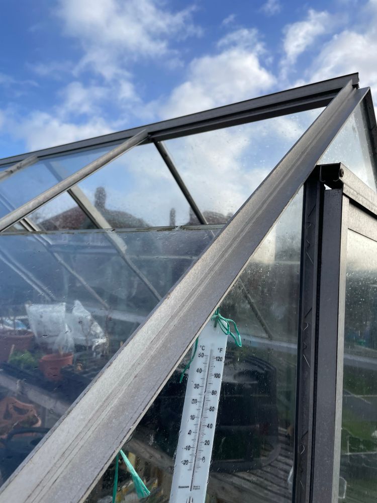 Allotment greenhouse missing a pane of glass 