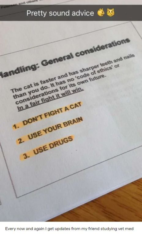 A picture of a piece of paper with this printed: The cat is faster and has sharper teeth and nails than you do.  It has no code of ethics or considerations for it's own future. In a fair fight it will win.  1) Don't fight a cat 2) Use your brain 3) Use drugs