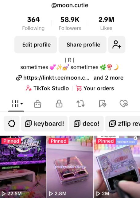 screenshot of tiktok profile, showing the number of followers, bio, and pinned videos on account