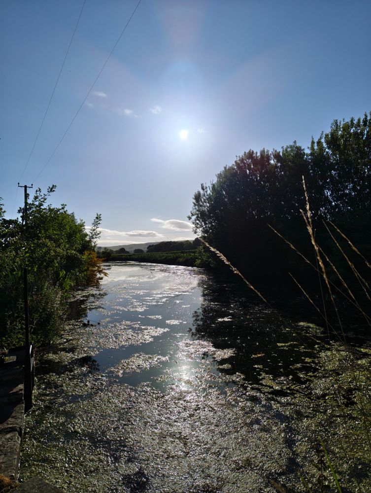 Millpond with reflections and textures on the water