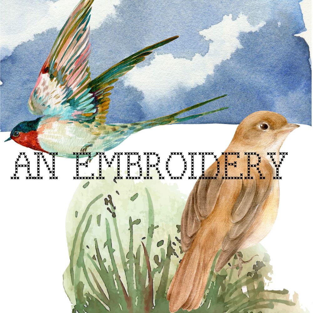 this is a photo of two birds, a nightingale and a swallow, with the text reading "An Embroidery"