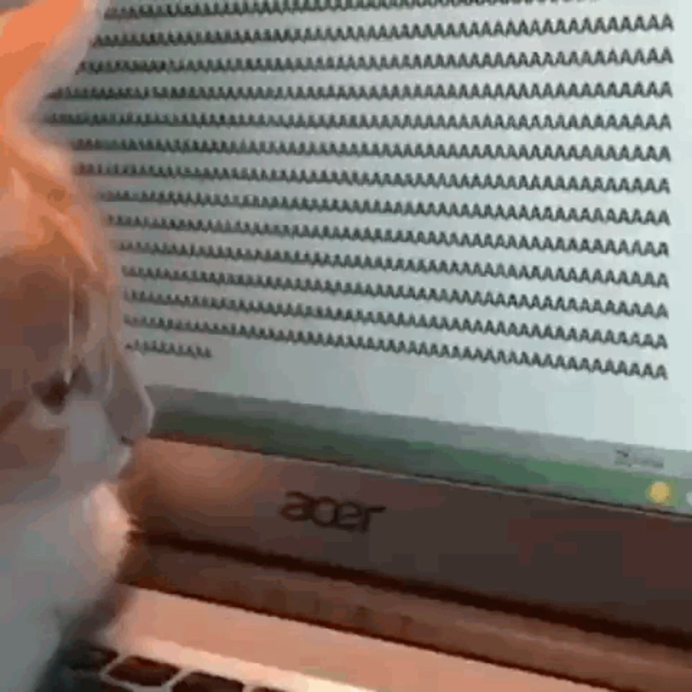 a cat is looking at a computer screen with a lot of screaming letters on it .