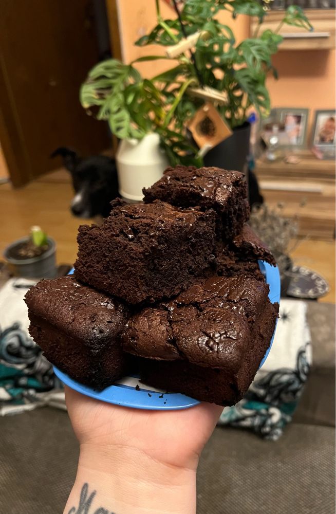 Eine kleine, blaue Metallplatte voll mit Brownies. Man erkennt, dass die Schokolade darin noch weich ist. Im Hintergrund lugt ein Hund hinter einer Monstera hervor.