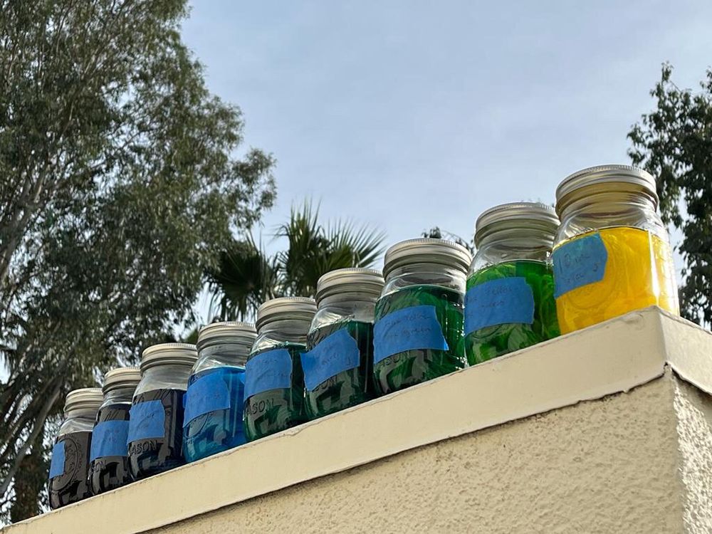 Jars of yarn sitting on a shelf.