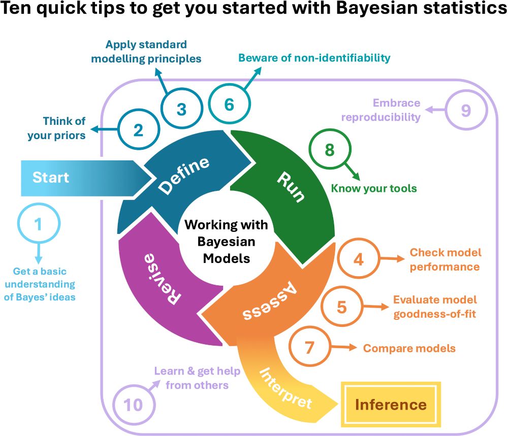 Graphical summary of 10 quick tips to get started with Bayesian statistics and how they fit into a larger view of an analytical workflow with Bayesian models.