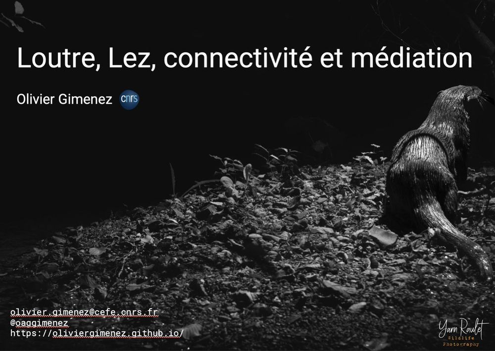 Diapo de présentation de nos projets sur la loutre, le Lez, la connectivité écologique et la médiation scientifique.