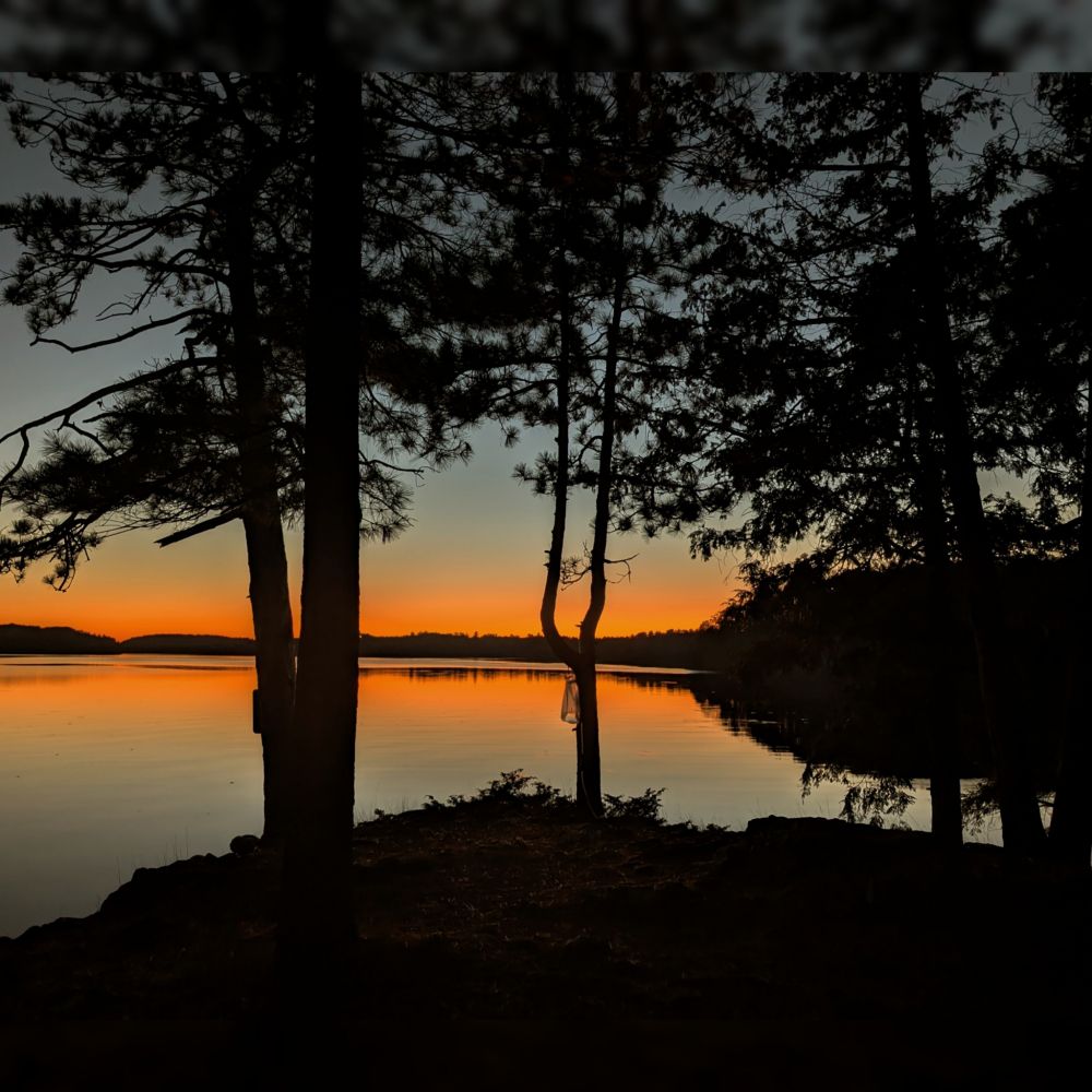 Orange toned sunset over a lake with the silhouette of trees in the foreground. 