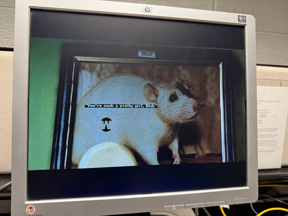 Close-up of an HP monitor showing a vintage-style video game with a photograph of a white rat labeled “Blob.” On-screen dialogue reads: “You’re such a pretty girl, Blob.” The background appears to be an office or lab setting.