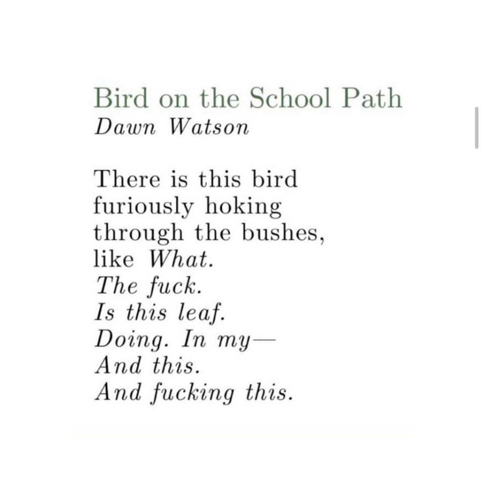 Bird on the School Path
Dawn Watson 

There is this bird
furiously hoking
through the bushes,
like What.
The fuck.
Is this leaf.
Doing. In my—
And this.
