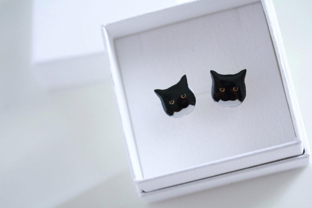 photo of a cat, from x.com/unicouniuni3