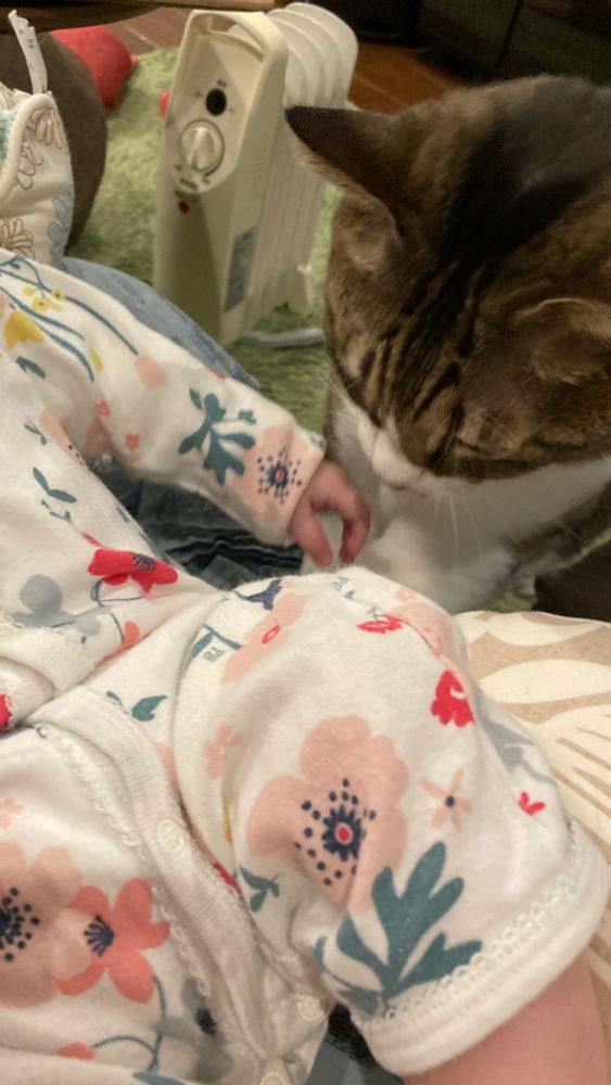 ジュニアくんの香りが嗅ぎたい虎吉さん