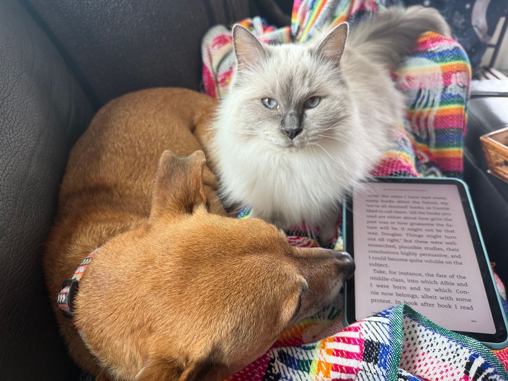 Cuddling with dog & cat