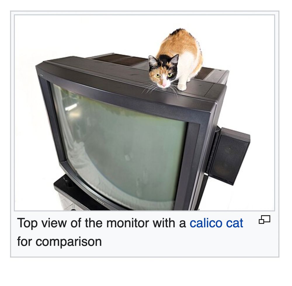 Top view of TV monitor with a calico cat 