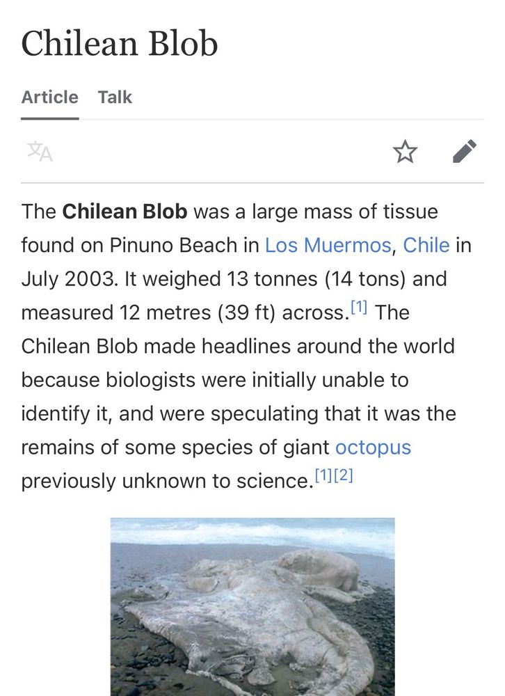 The Chilean blob or Chilean monster (Spanish: Monstruo chileno)[1] was a large globster (mass of organic tissue) found on Pinuno Beach in Los Muermos, Chile in July 2003. It weighed 13 tonnes (14 tons) and measured 12 metres (39 ft) across.[2] The Chilean blob made headlines around the world because biologists were initially unable to identify it and were speculating that it was the remains of some species of giant octopus previously unknown to science