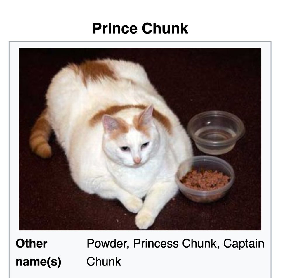 Prince Chunk
