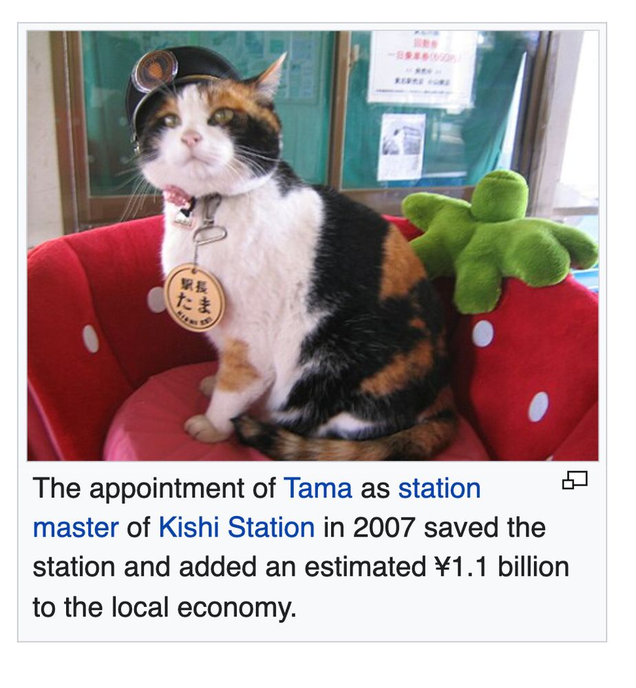 The appointment of Tama as station master of Kishi Station in 2007 saved the station and added an estimated ¥1.1 billion to the local economy.