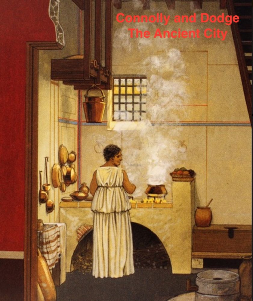 Colour illustration showing artist's reconstruction of a Roman kitchen. 
Credit: Connolly and Dodge, The Ancient City, p 148 AKG Images

A woman in a long white dress is standing in a high-ceilinged room, with whitewashed walls and a barred window. There's a wooden rack over her head with a bronze cauldron hanging from it. There are pans hanging on the wall to her left. She's standing in front of a counter that's got niches on top for charcoal fires, with a couple of pots with legs simmering on them. Under the counter is an arched space for storing fuel. To her right is a wooden bench with a hole in it, that's actually a latrine. On the bench is a clay pot with a stick protruding from it. (I know from archaeology books that there's a sponge on the end of the stick, that's out of view in the pot. The sponge is their equivalent to toilet paper today, and the pot likely has water in it.)