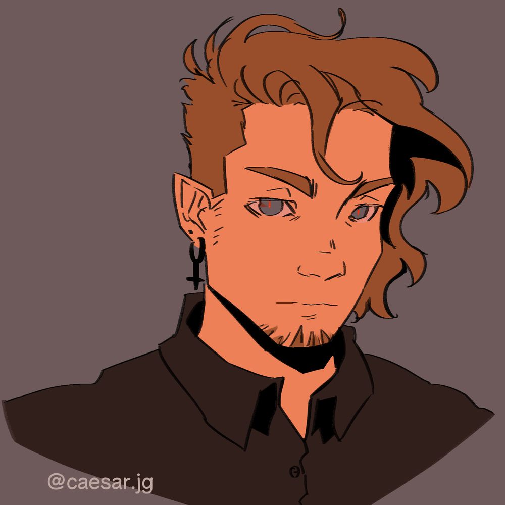 On the picture you can see a drawing of my face and shoulders that I'm using as my profile picture. I drew myself with pointy vampire ears and red pupils. Aside from that, I am wearing a black collar shirt and black earrings. My skin is pale, my eyes blue and my blond hair is very short on the sides and back, but wavy and chin-length on top and falling down on my left facial side. My expression is neutral and calm.