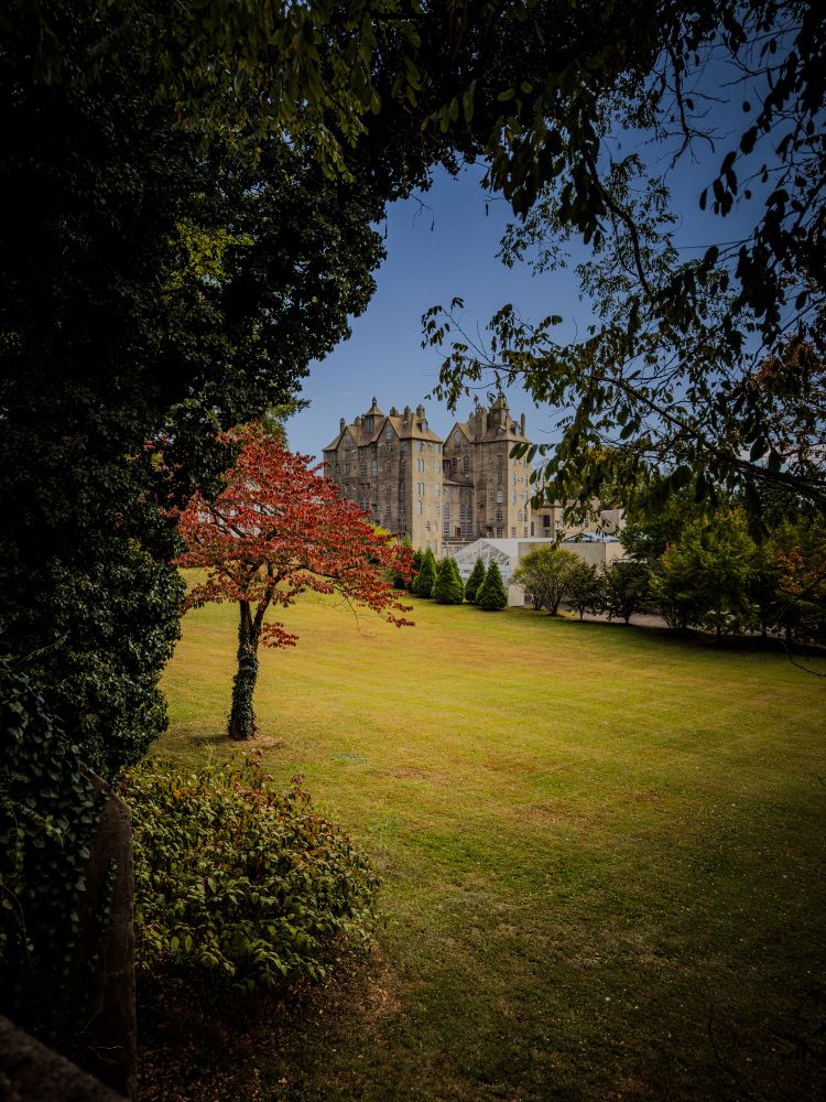 A large, open grassy lawn is framed by lush green foliage and tree branches, creating a natural archway around the top and sides of the image. In the mid-ground, a solitary tree with red and orange autumn leaves stands out against the green grass, its trunk partially covered in ivy. In the background, a grand, historic stone building with steep, gabled rooftops and tall chimneys rises against a clear blue sky. The architecture appears to be of a castle or manor house, featuring many windows and intricate details. The scene is peaceful and picturesque, suggesting early autumn in a landscaped estate or park.