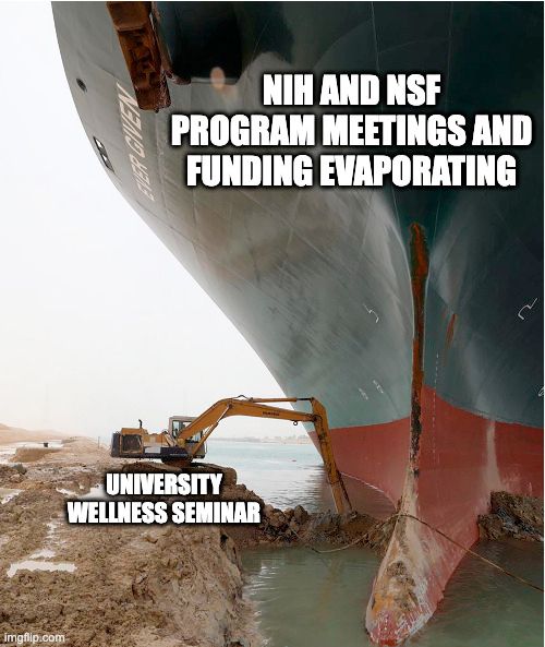 Evergiven boat stuck in the Suez canal labelled "NIH and NSF program meetings and funding evaporating" and a tiny construction digger labelled "University wellness seminar"