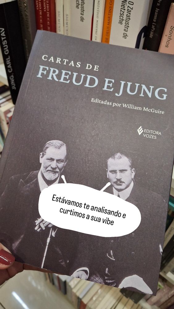 Capa do livro cartas de Freud e Jung ambos com olhar penetrante sensual dizendo "estávamos te analisando e curtimos a sua vibe"
