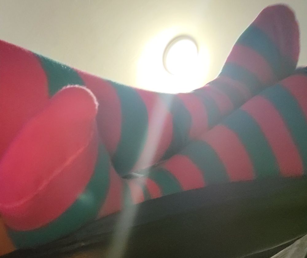 ten tiny toes tucked away in their tents