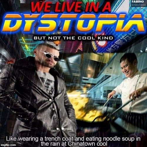 We live in a DYSTOPIA. But not the cool kind. Like wearing a trench coat and eating noodle soup in the rain at Chinatown cool.