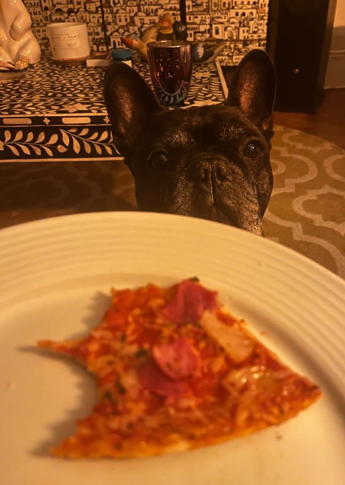 A slice of pizza on a plate. A French Bulldog is peering over the top.