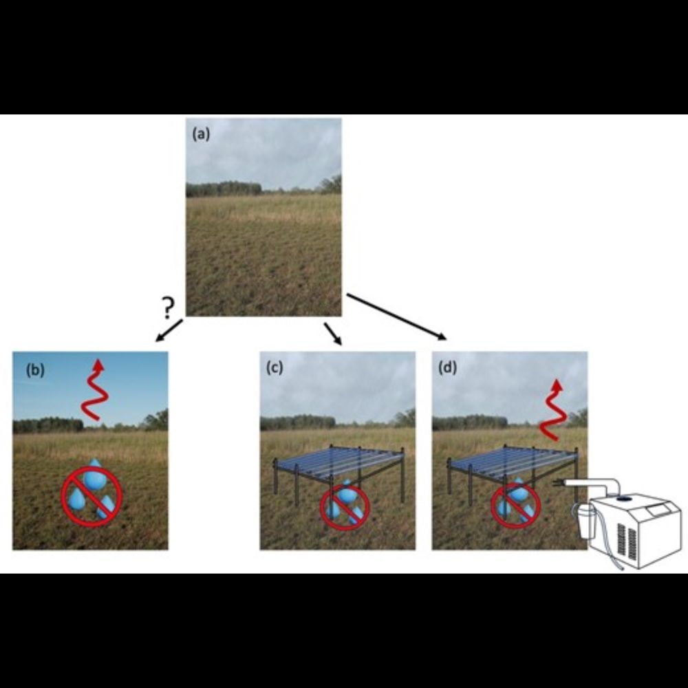 Drought experiments need to incorporate atmospheric drying to better simulate climate change