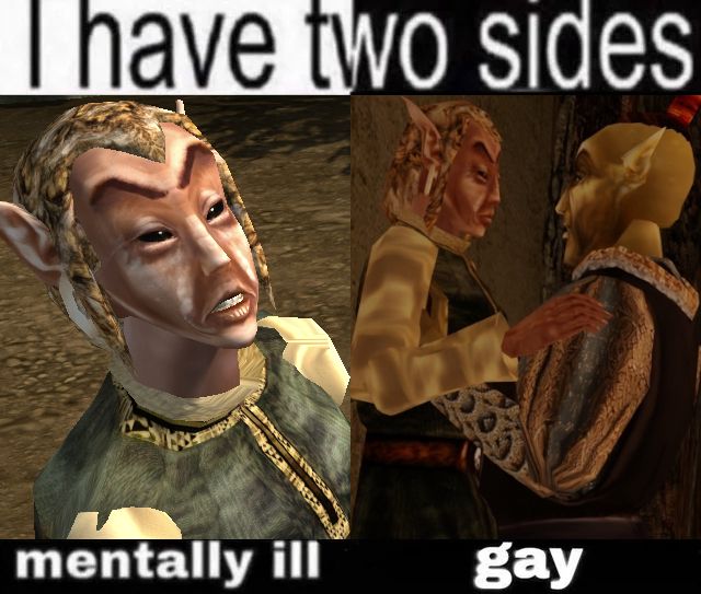 a meme depicting Fargoth Morrowind being both mentally ill AND gay