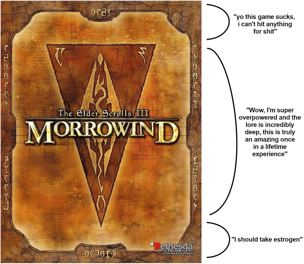 The Morrowind box art divided into three stages.
Stage 1: "yo this game sucks, i can't hit anything for shit"
Stage 2: "Wow, I'm super overpowered and the lore is incredibly deep, this is truly an amazing once in a lifetime experience"
Stage 3: "I should take estrogen"