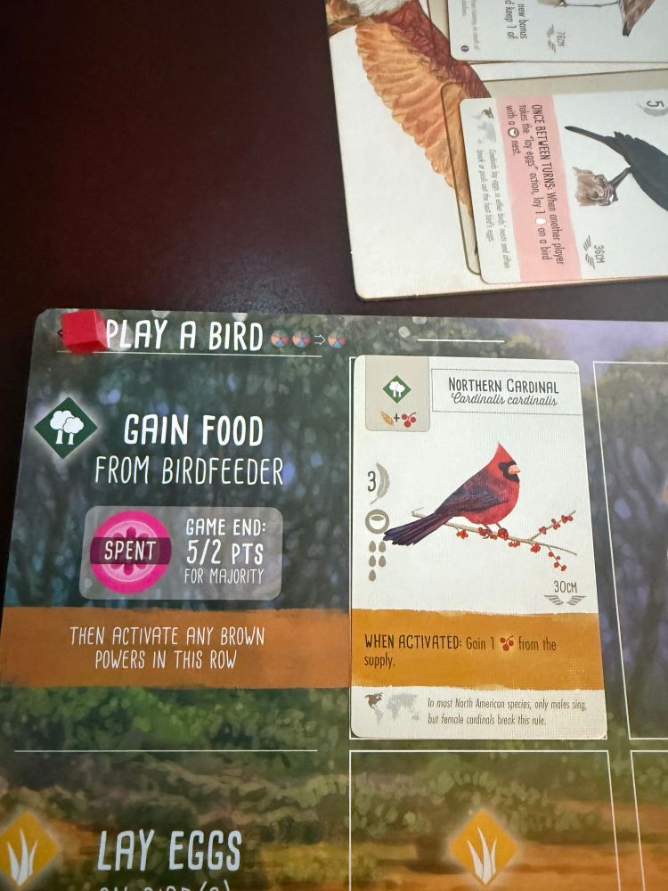 The boardgame Wingspan showing a cardinal played on the forest