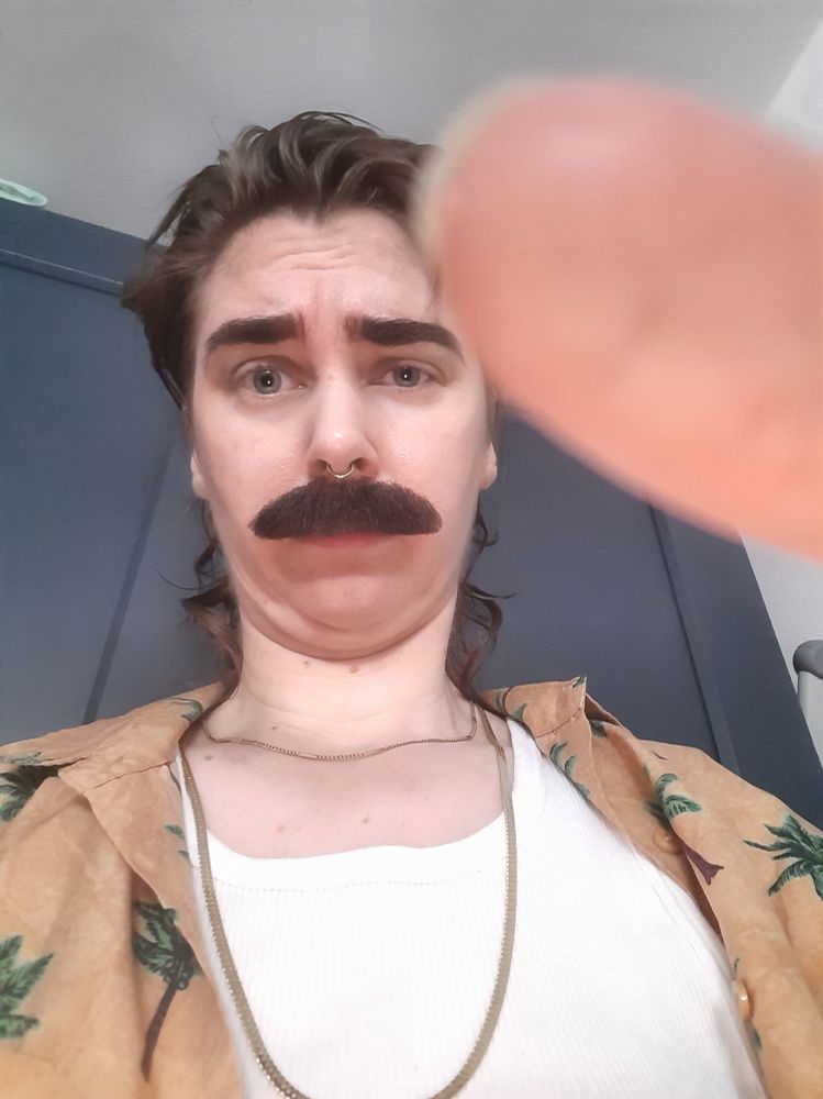Bild von Merri- ÄH Terri.
Schnurrbart, zurückgegelte Haare, Goldketten, weißes Tank und Hawaiihemd
Daumen ist auch im Bild