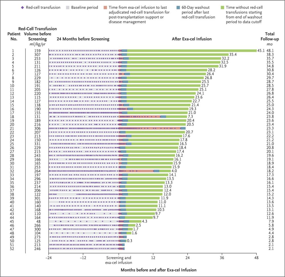 Exagamglogene Autotemcel for Transfusion-Dependent β-Thalassemia | NEJM