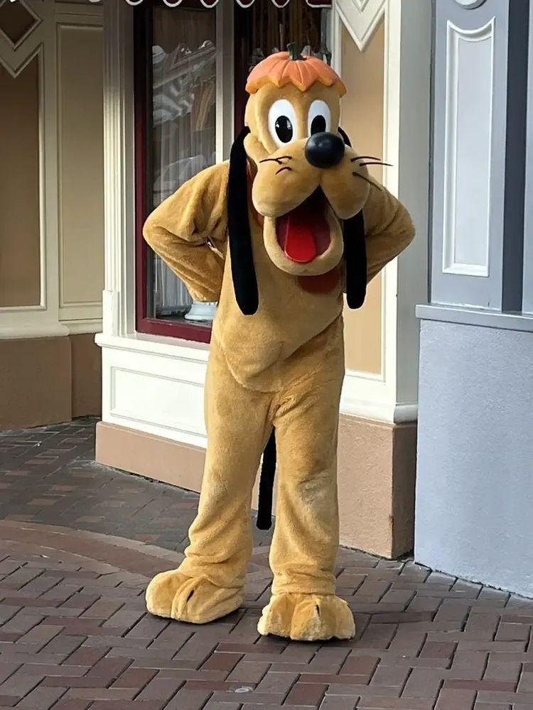 Pluto. You know, at Disneyland? Walla wakka