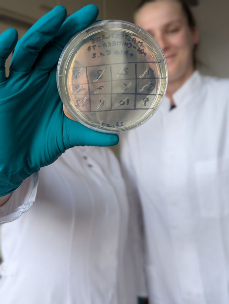 JKI Institute for Biosafety in Plant Biotechnology 