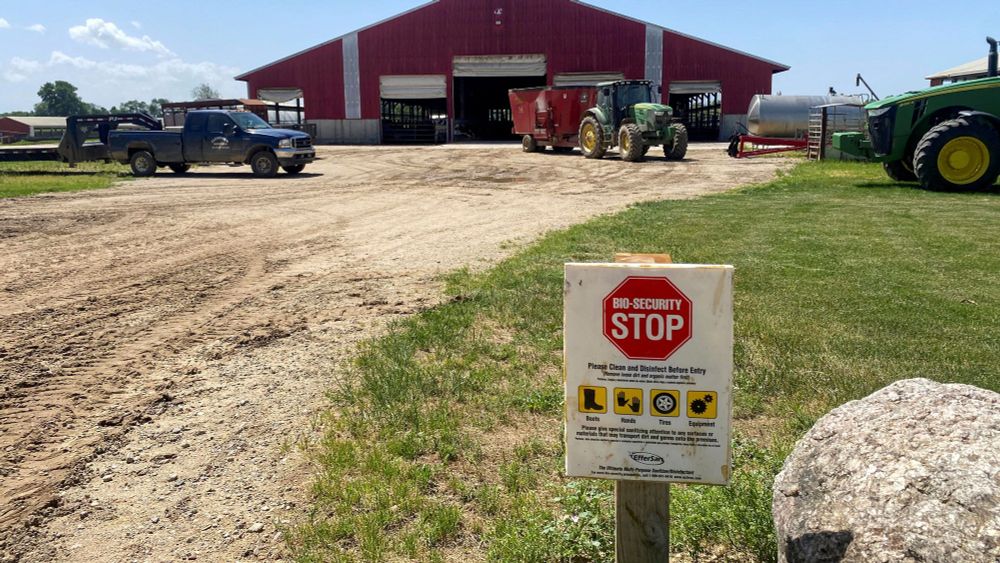 Update: 6 dairy workers infected in California as bird flu outbreak spreads