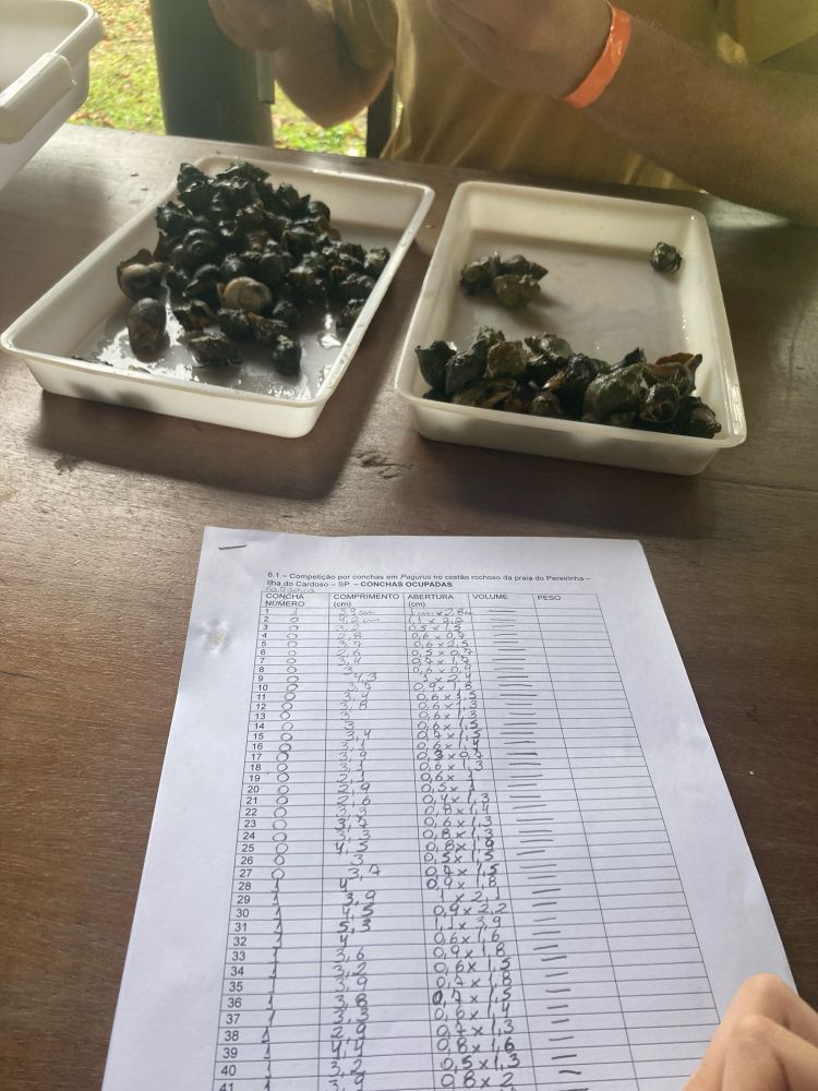 Measures of Pangurus 