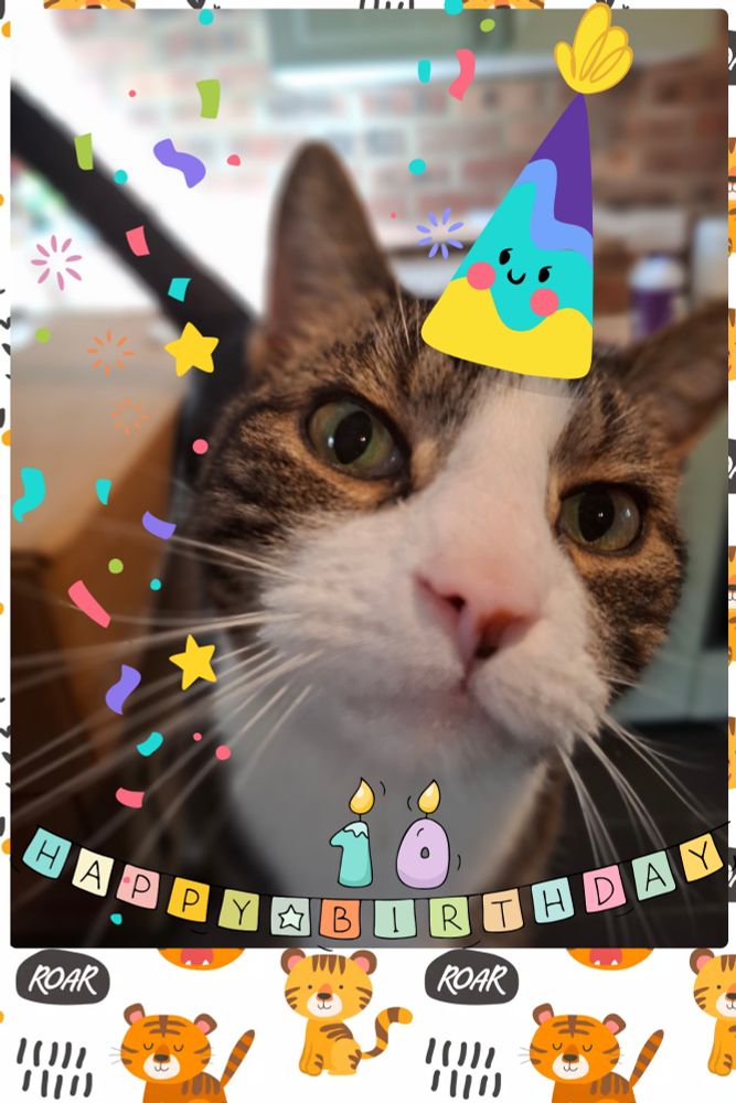 Closeup photo of a tabby and white cat with various birthday stickers added to the photo. 