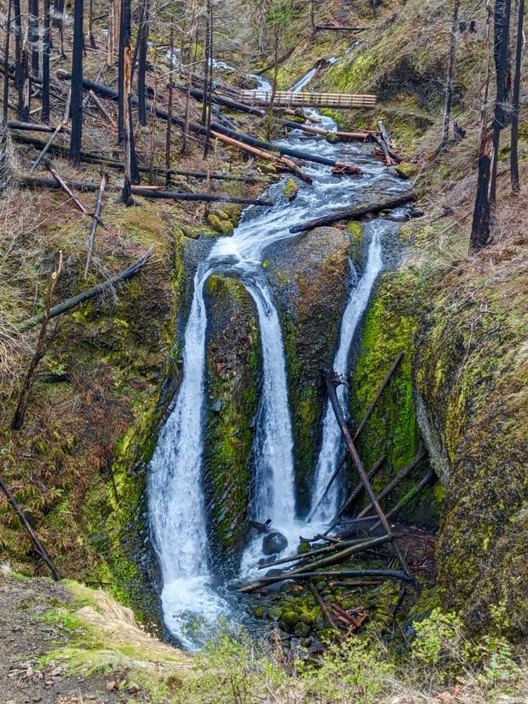 Top is wood bridge crossing creek. Surrounded by burned trees. Area is recovering from major fire. Triple waterfalls. 