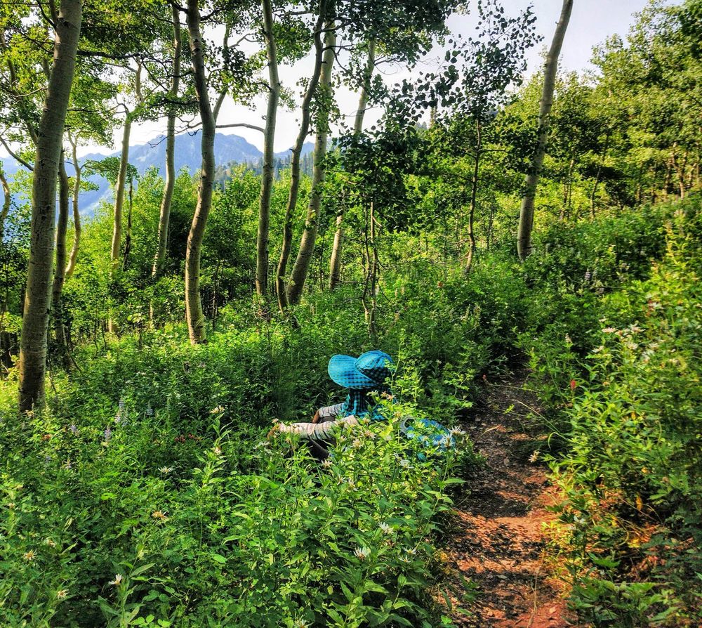 Friend with large teal cap covering her face sitting at side of trail in overgrown green brush looking down through trees to
mountains.