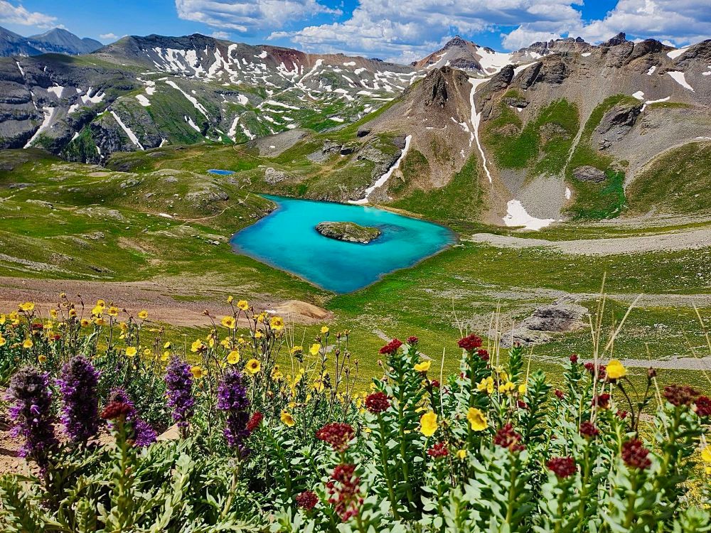 Burgundy and yellow wildflowers in forefront. Island Lake with turquoise water and island in center mountains with trail in background.
