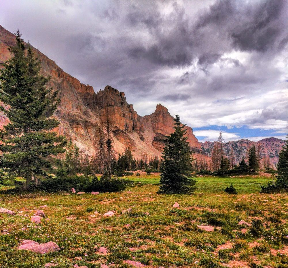 Red craggy mountains with rocky meadow with scattering of conifers. Cloudy sky. 