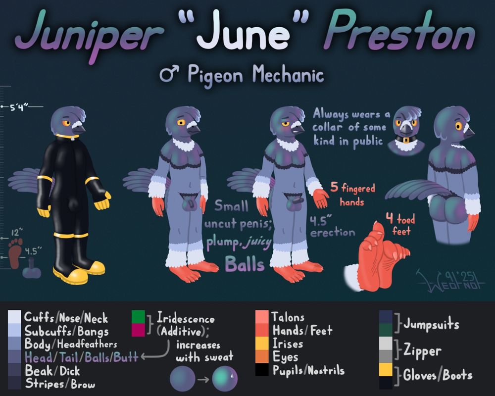 NSFW Ref sheet for "Juniper 'June' Preston", a 5'4" male pigeon and mechanic.

He is shown wearing chunky rubber boots and gloves and a collared rubber catsuit, and completely nude to show off his genitals and the patterns of his feathers. He is said to always wear a collar of some kind when in public, and is shown wearing a leather choker.

He is shown to have an uncircumsized and proportionally small penis, depicted both flaccid and erect, and noted as being 4.5 inches long when fully erect; his balls are proportionally quite large, and suggestively described as "plump" and "juicy".

He has 5 fingered hands, and 12-inch four toed feet, with small talons on the end of all his digits.

His head, tail, butt, and pubic feathers are iridescent, and are noted to become even moreso when June sweats.