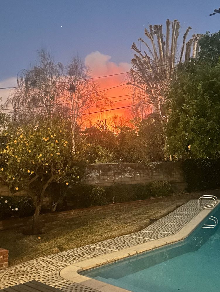 A horrifying fiery glow visible over the trees from my backyard