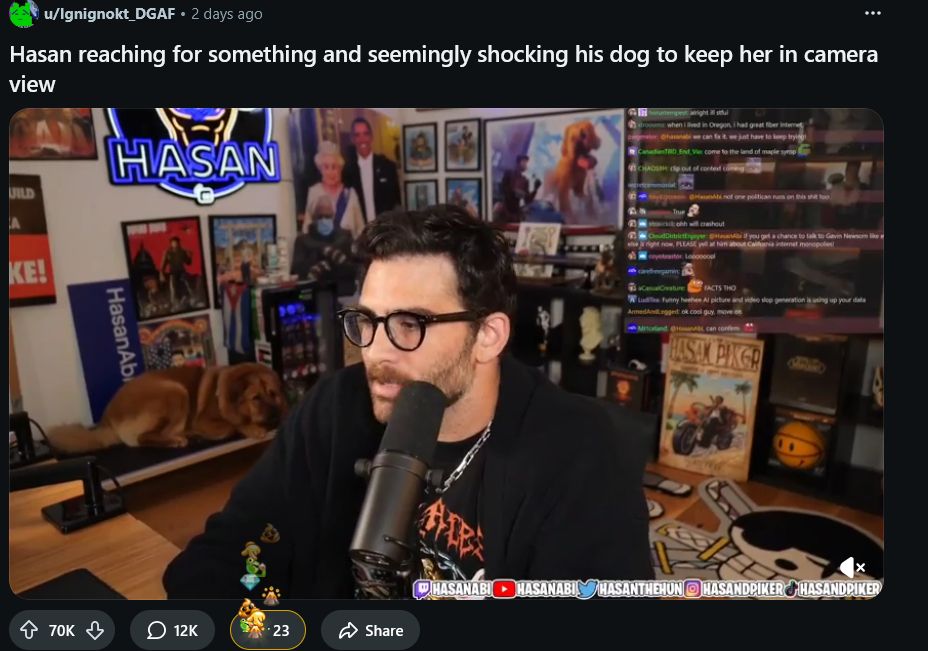 hasan being accused of shocking his dog on reddit