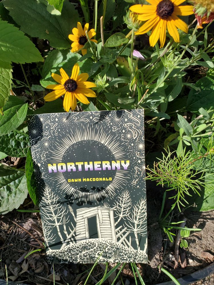 Poetry collection Northerny by Dawn Macdonald (University of Alberta Press) sits amidst black-eyed susans and other flowers